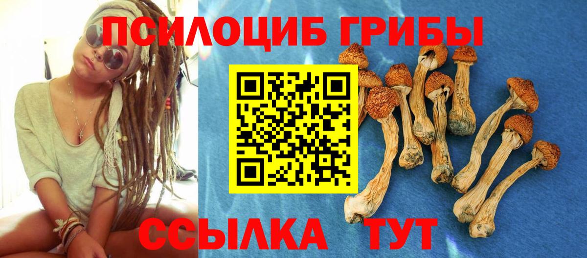 Псилоцибиновые грибы прущие грибы  Вход с VPN  Псилоцибиновые грибы Cubensis  Камышлов 